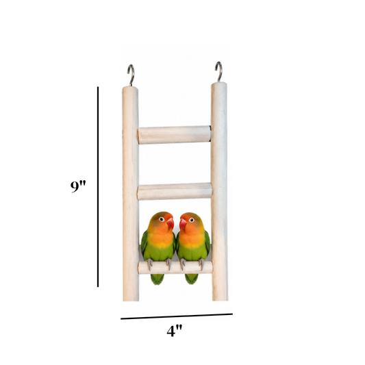 3 Pcs Birdy Bundle Pack for Budgies Lovebirds Canary Cockatail