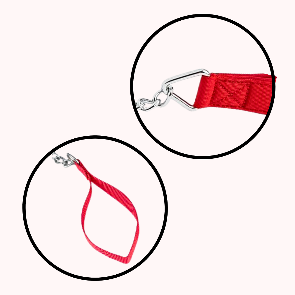 4ft Metal Cat Leash - Cat Walking Chain Harness