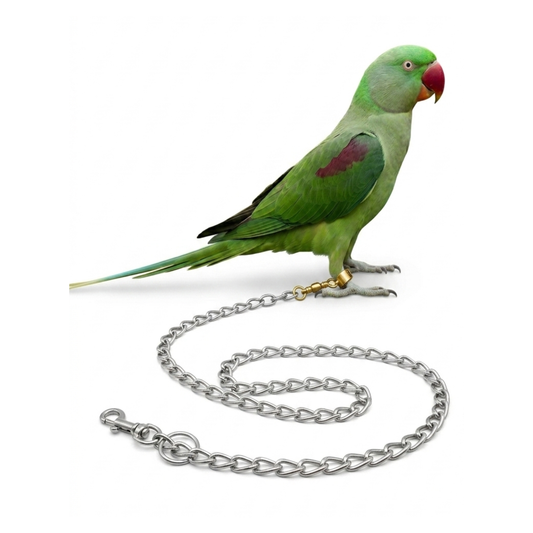 5 Pcs Birdy Bundle Pack for Ringneck Conure & Raw Parrots