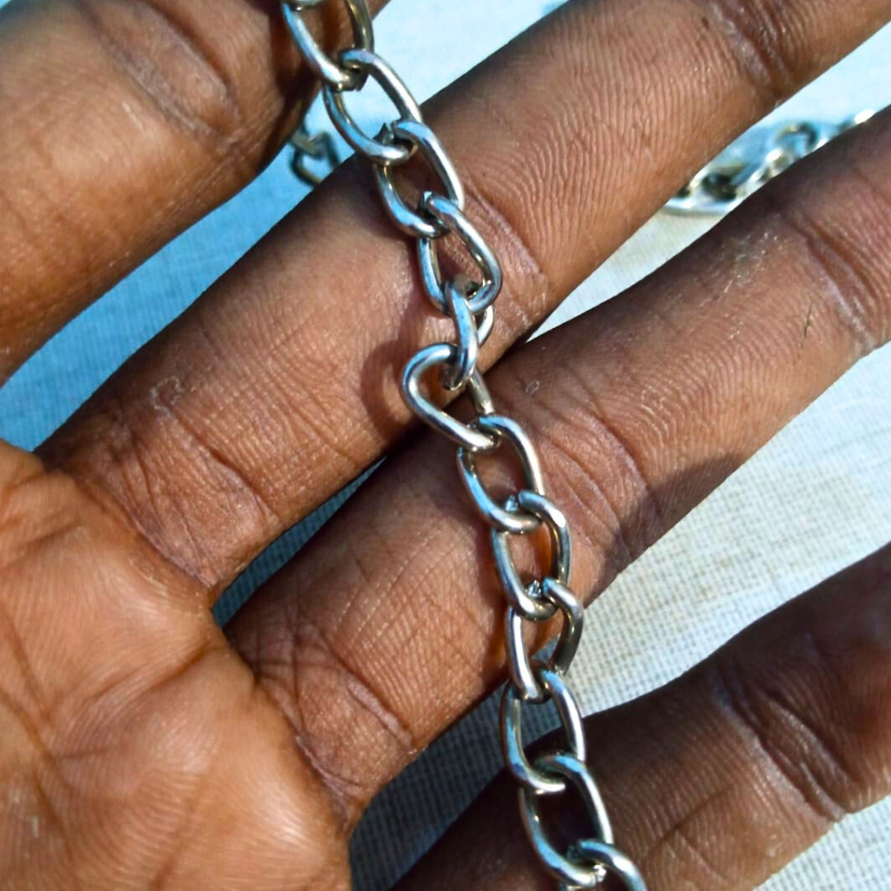 2ft Long Parrot Leashes Foot Chain, Anti-Bite Flying Training U-Shap Clasp Buckle