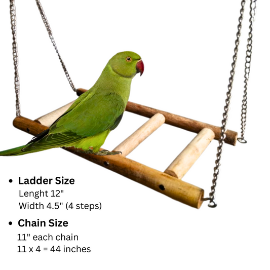 Handmade Wooden Ladder Swing for Large & Medium Birds
