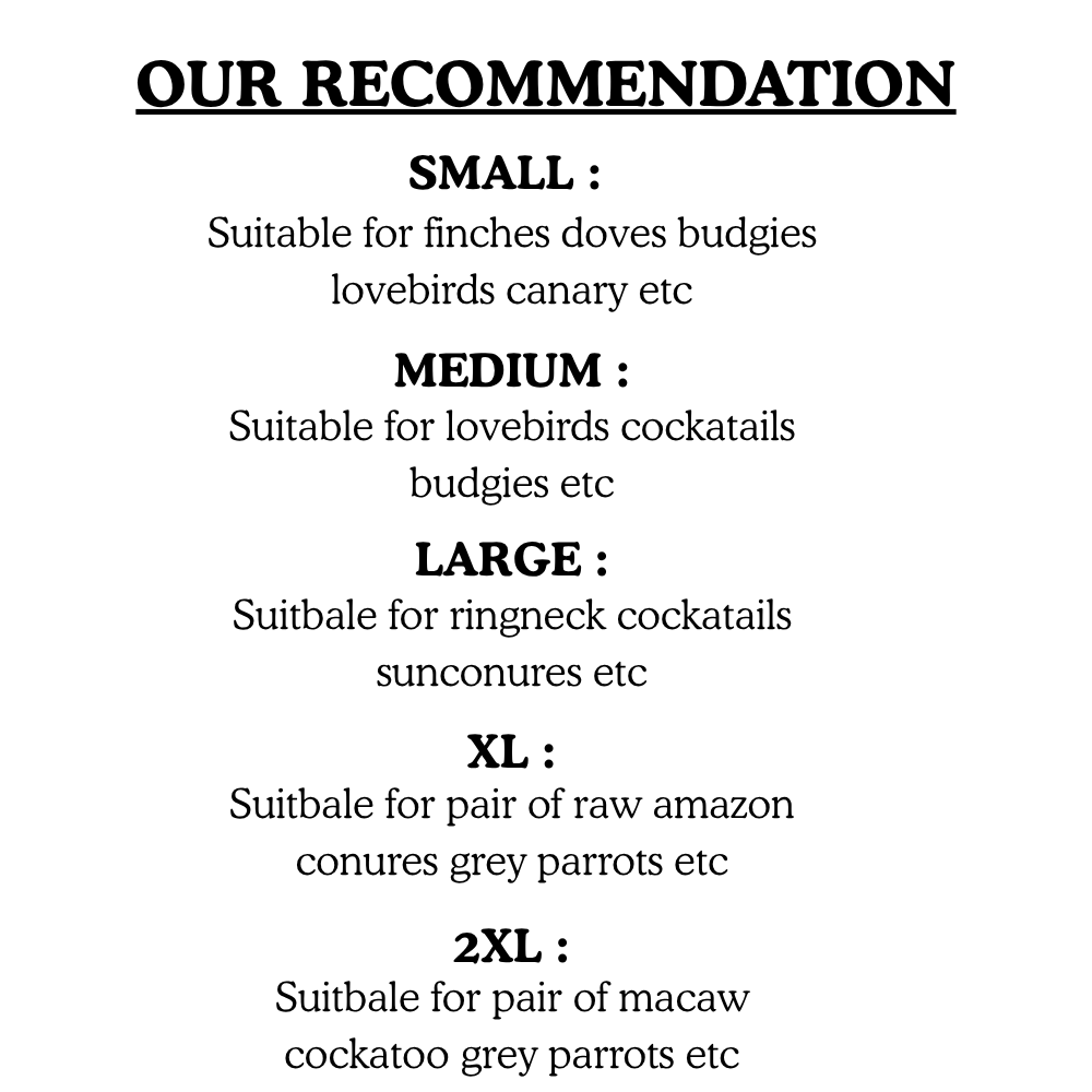 Interactive Metal Frame Bird Swing – Available in S, M, L, XL, 2XL Sizes