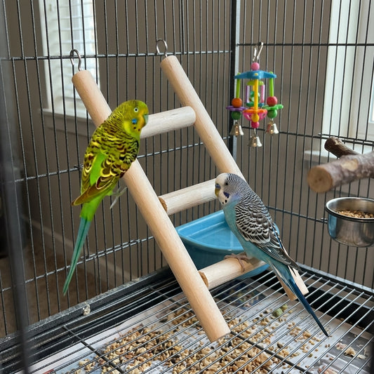 Premium Bird Ladder Toy for Cages - Climbing Stairs Parrots