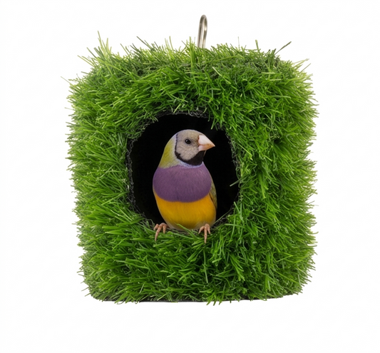 5 Pcs Birdy Bundle Pack for Java Finch & Small Parrots