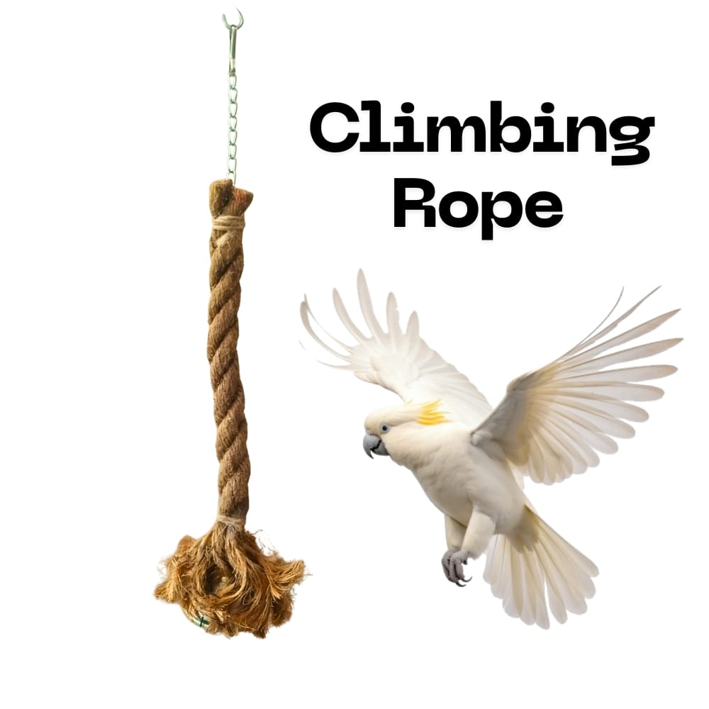 Natural Jute Climbing Rope for Parrots – 12" Hanging Exercise Toy with Jumbo Bell