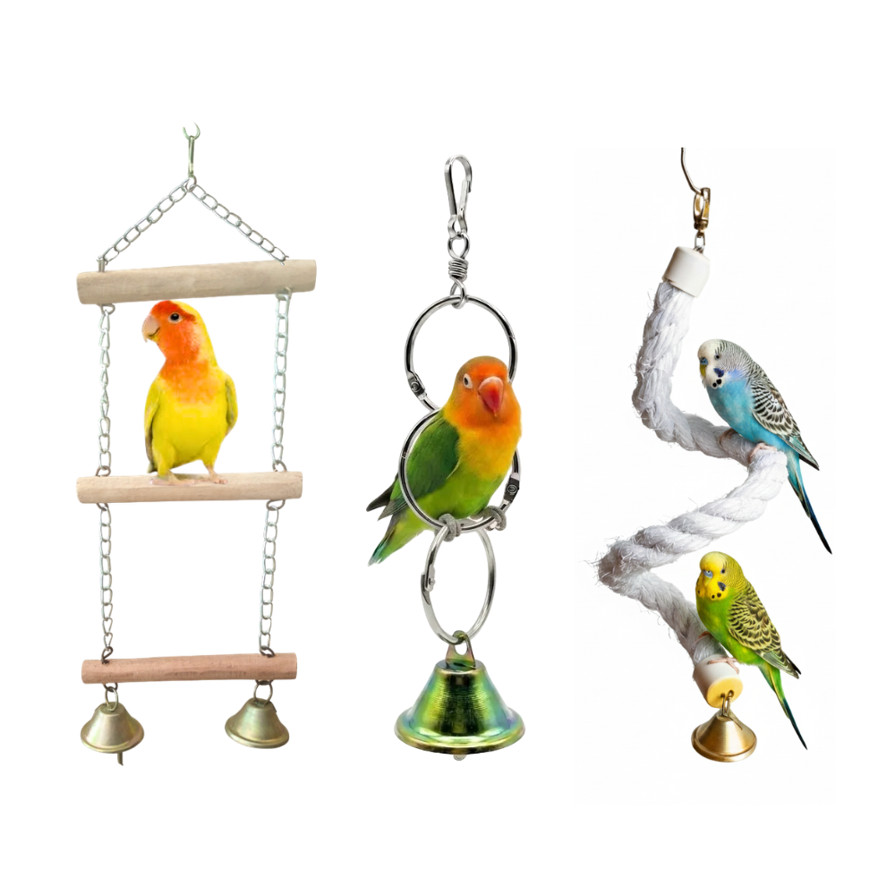 3 Pcs Birdy Bundle Pack for Budgies Lovebird Java Canary Cockatail