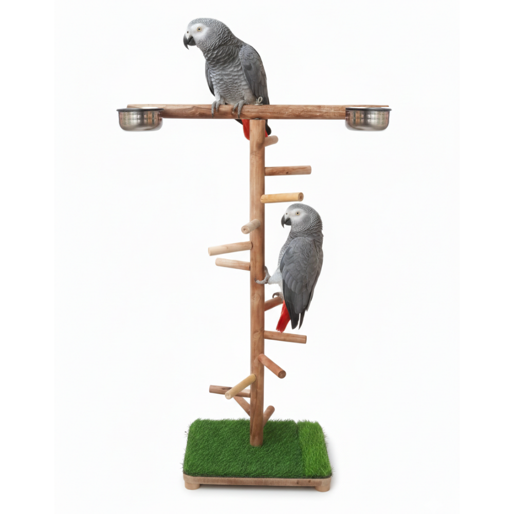 Premium T-Style Wooden Bird Climbing Stand with Multi-Level Perches & Feeding Bowls