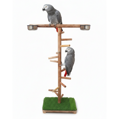 Premium T-Style Wooden Bird Climbing Stand with Multi-Level Perches & Feeding Bowls