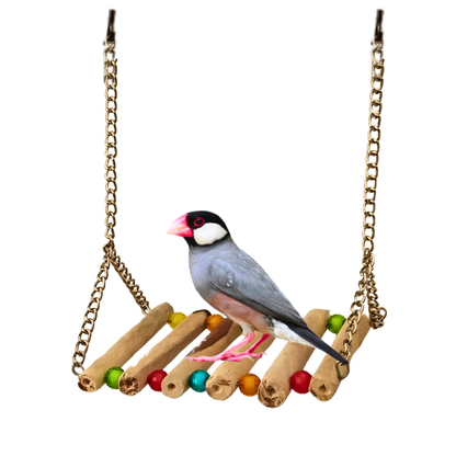 Colorful Crystal Beads Wooden Bird Swing with Metal Chain
