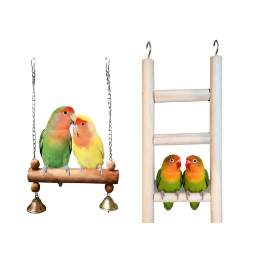 2 Pcs Birdy Bundle Pack for Budgies Lovebird Java Canary Cockatail