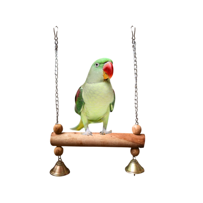 Wooden Bird Swing with Musical Bells – Durable Hanging Perch for Small & Medium Size Parrots