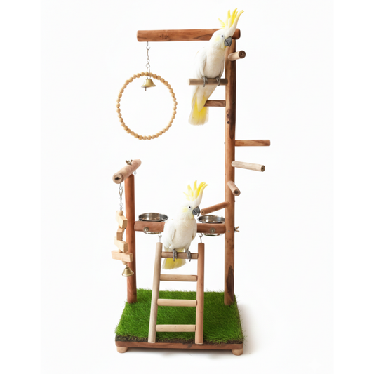 Premium Multi-Level Bird Play Gym with Swing, Ladder & Enrichment Toys (33" Tall)