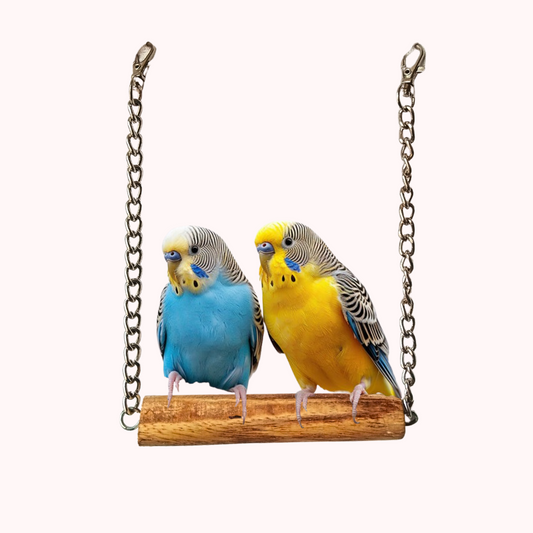 Small Parrot Swing for Budgies Lovebird Java Finches etc.