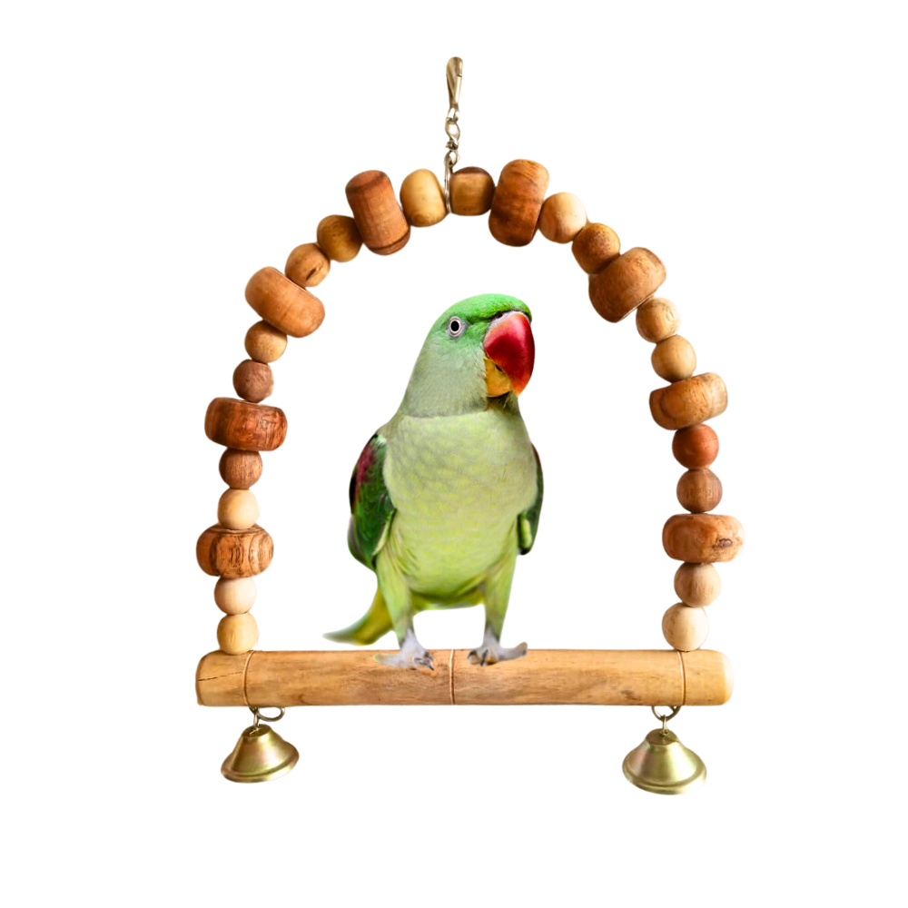 Arch-Shape Hanging Perch for Large Parrots Like Raw African Grey Amazon