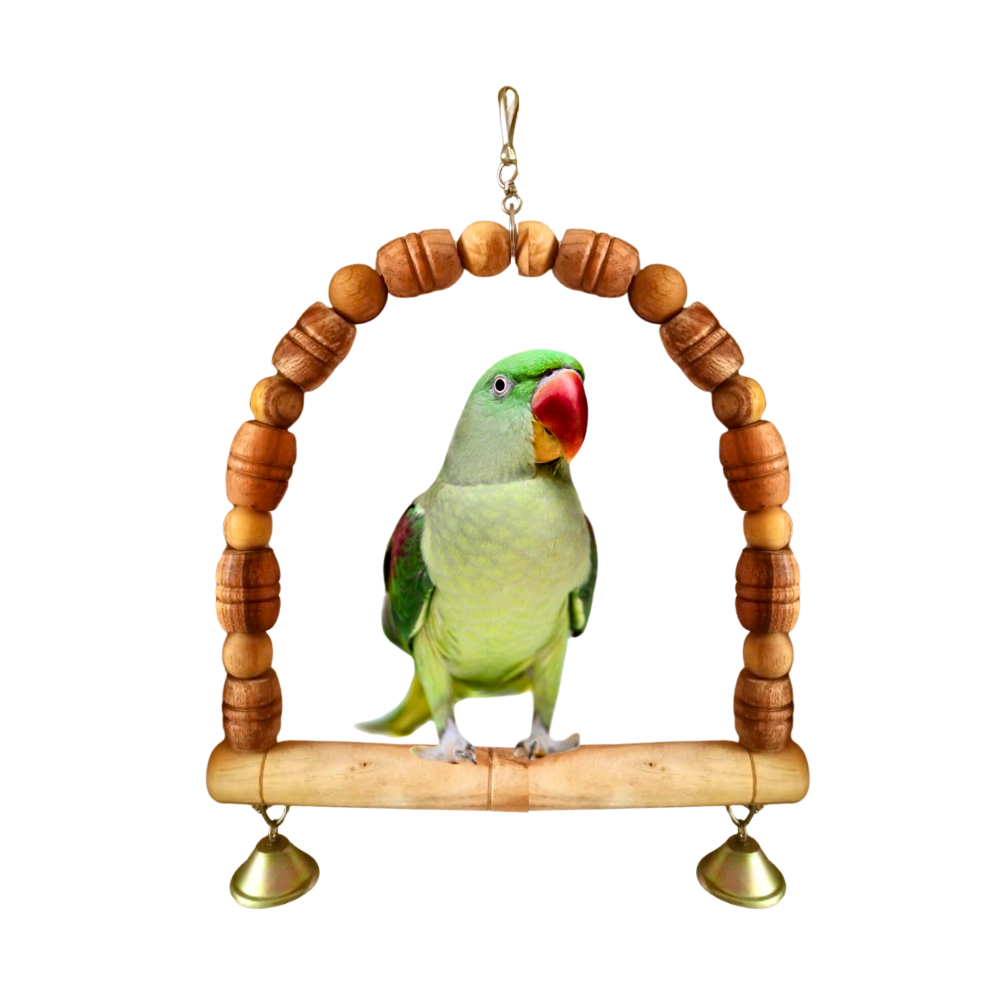 Arch-Shape Hanging Perch for Large Parrots Like Raw African Grey Amazon