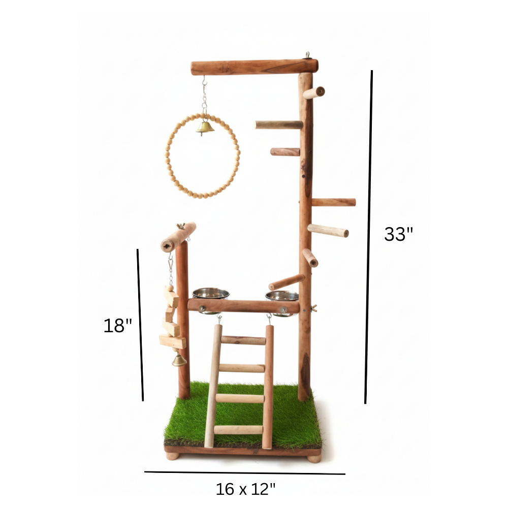 Premium Multi-Level Bird Play Gym with Swing, Ladder & Enrichment Toys (33" Tall)