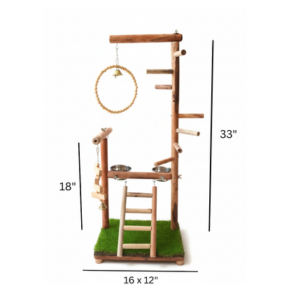 Premium Multi-Level Bird Play Gym with Swing, Ladder & Enrichment Toys (33" Tall)