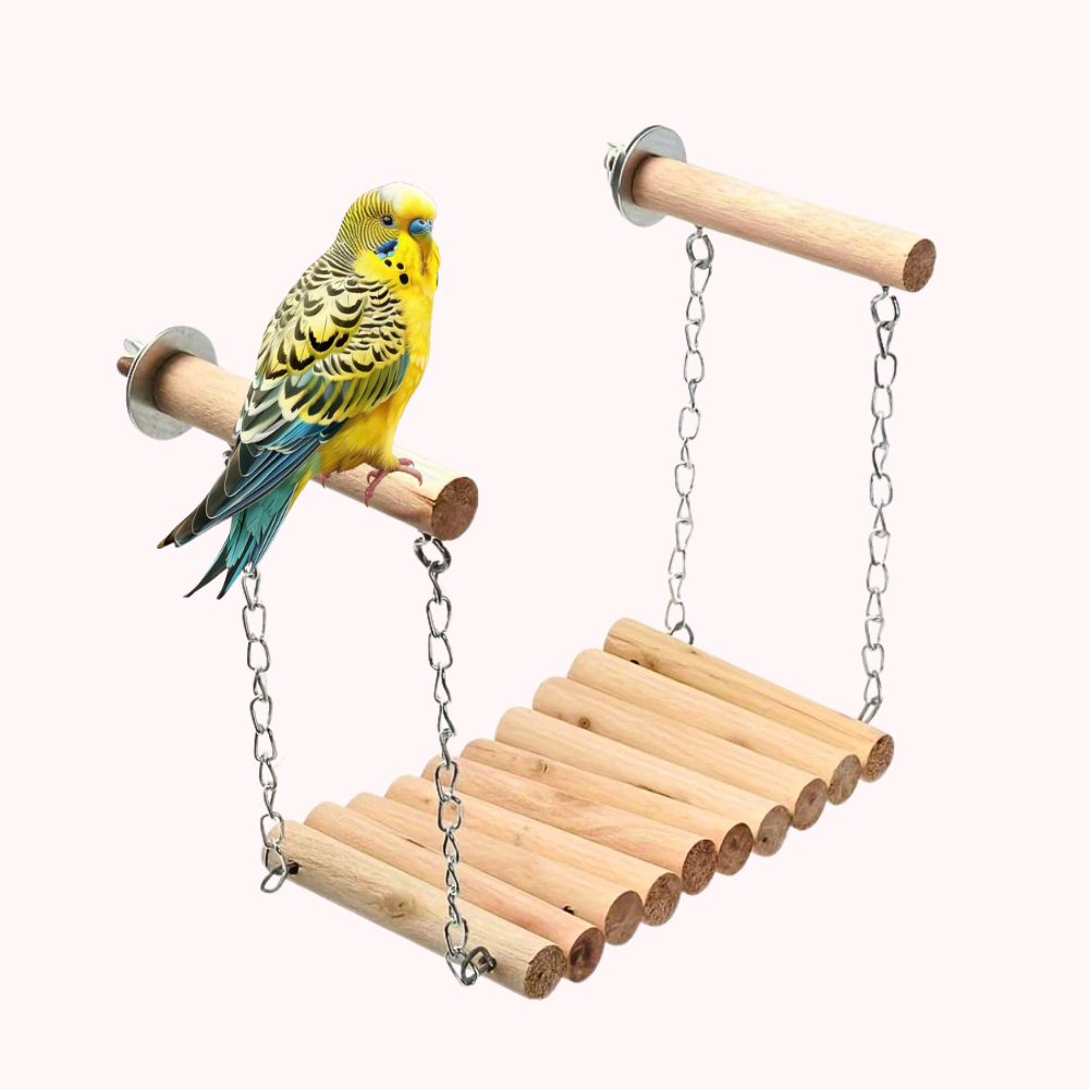 Parrot Swing Bridge Climbing Toy with Metal Chain