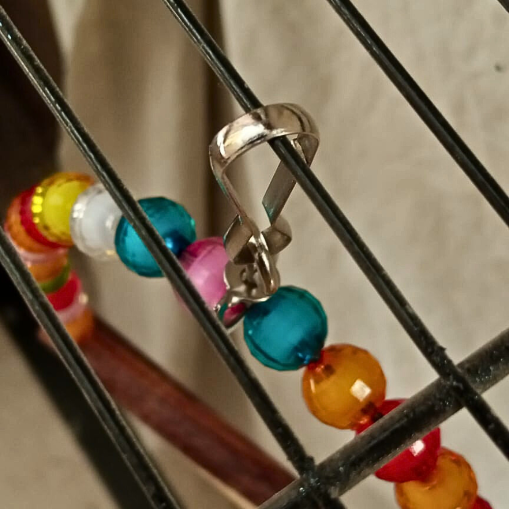 Colorful Attractive D-Shape Swing Toy for Small & Medium Size Birds