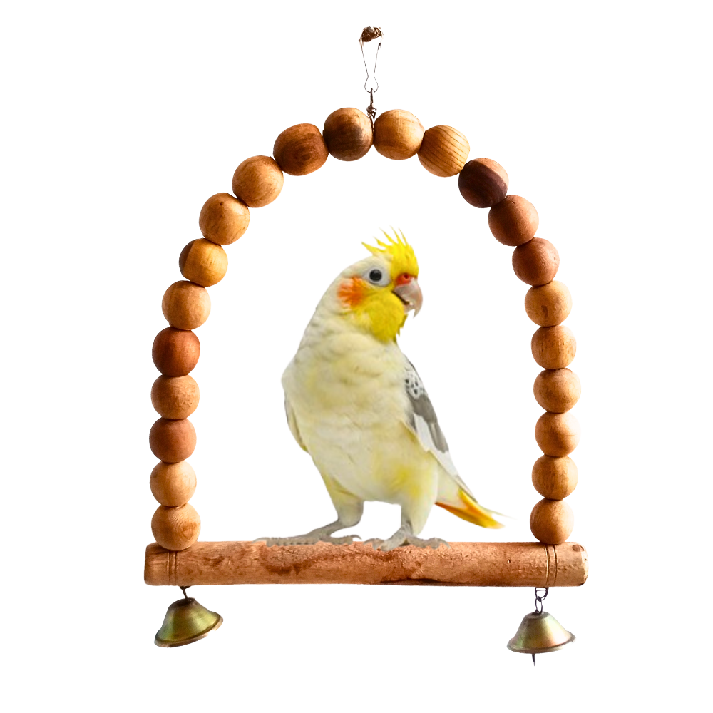 Durable Arch-Shape Hanging Perch Toy for Small & Medium Size Parrot