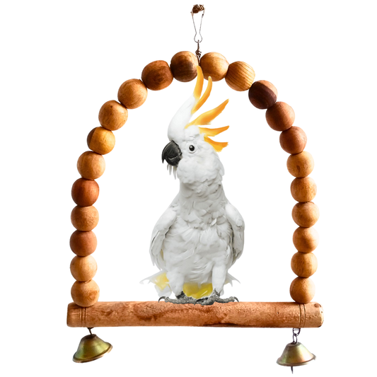 Arch-Shape Hanging Perch for Large Parrots Like Raw African Grey Amazon