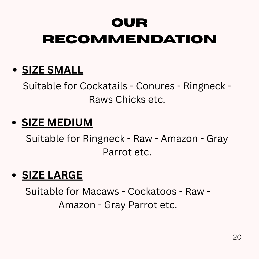 Eco-Friendly Bird T-Stand – Stable Wooden Training & Play Station