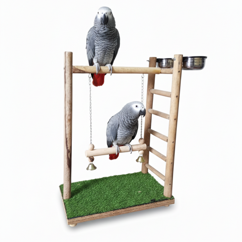 Premium Outdoor Bird Activity Stand with Swing, Exercise Ladder & Dual Feeding Bowls