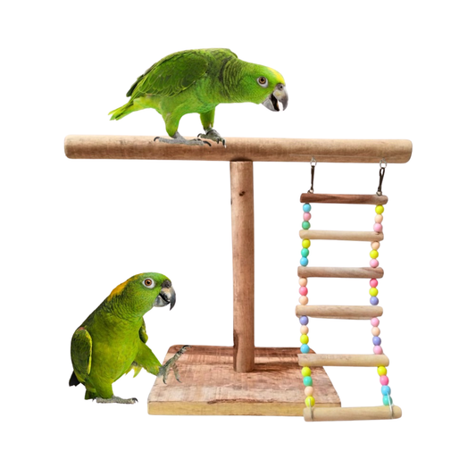 2-in-1 Cage & Table Top PlayDeck - Natural Wood Bird Stand with Climbing Ladder