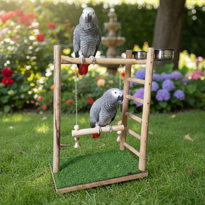 Premium Outdoor Bird Activity Stand with Swing, Exercise Ladder & Dual Feeding Bowls