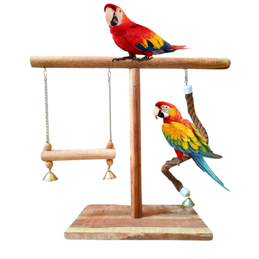 Big Parrot Activity Center – 24" Wide T-Stand with Luxury Swings