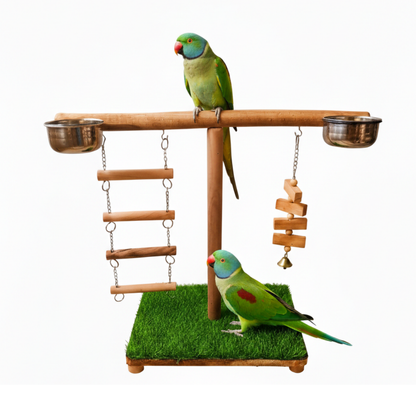 Premium T-Style Bird Play Stand with Activity Toys