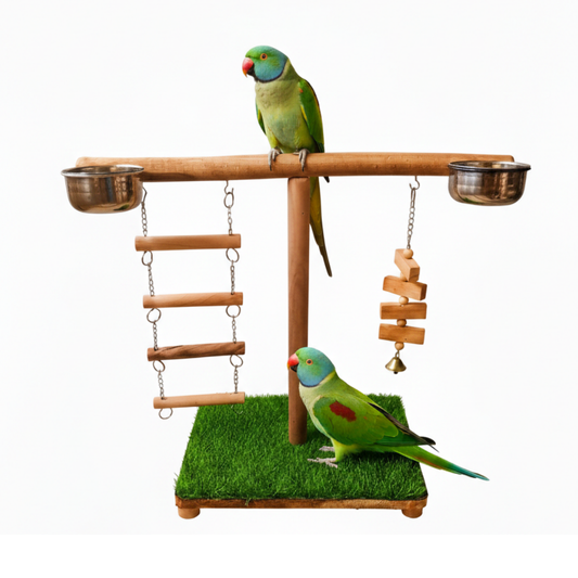 Premium T-Style Wooden Bird Play Stand with Grass Base & Activity Toys