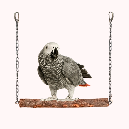 Natural Tree Wooden Swing for African Grey Ringneck Raw Parrots