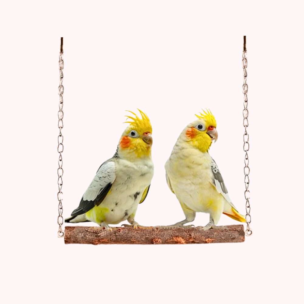 Natural Wooden Perch Swing for Cockatails Ringneck Parakeet