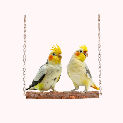 Natural Wooden Perch Swing for Cockatails Ringneck Parakeet