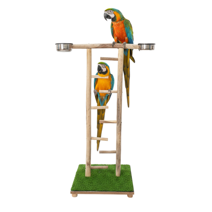 Wooden Bird Play Gym Stand with Climbing Ladder & Feeding Bowls