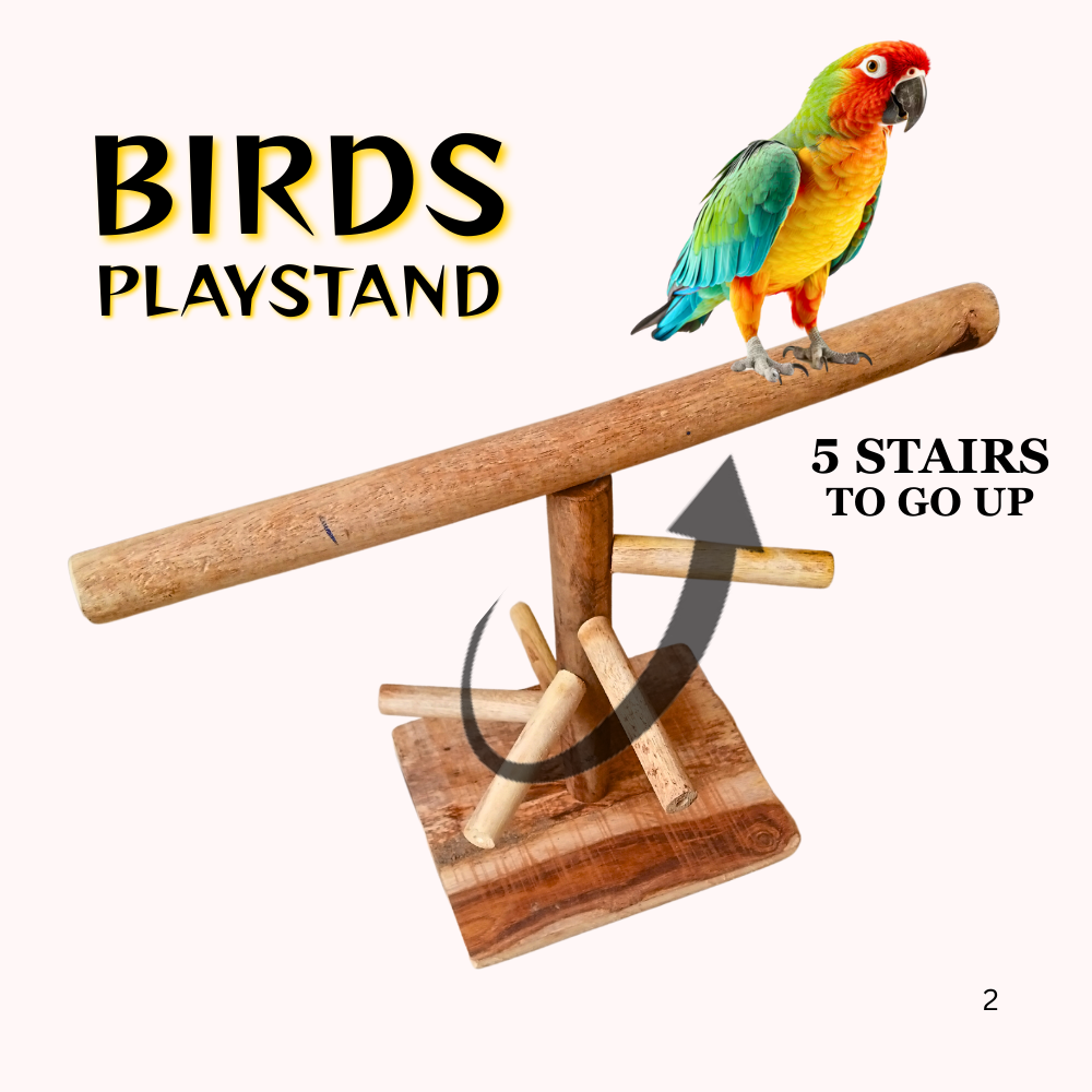 Multi-Level Perch Activity Play Stand for Raw Grey Parrot Amazon
