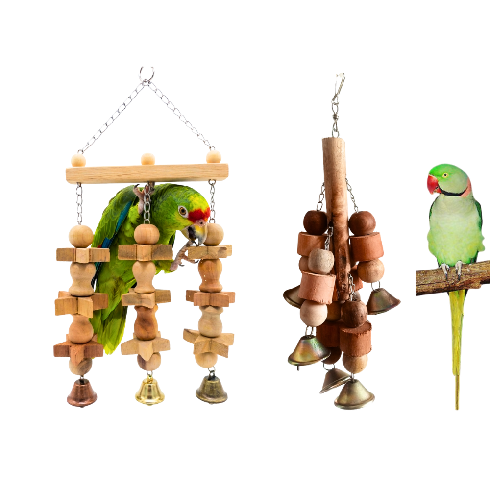 2 Pcs Birdy Bundle Pack Chewing Toys for Raw African Grey Amazon