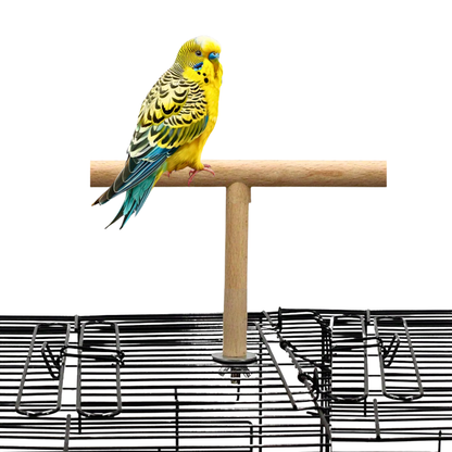 Durable Wooden T-Shape Perch Stand for Budgies Lovebirds & Small Parrots