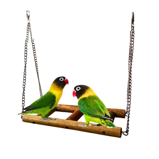 Handmade Wooden Bird Ladder Swing - Natural Wood Toy for Parrots & Lovebirds