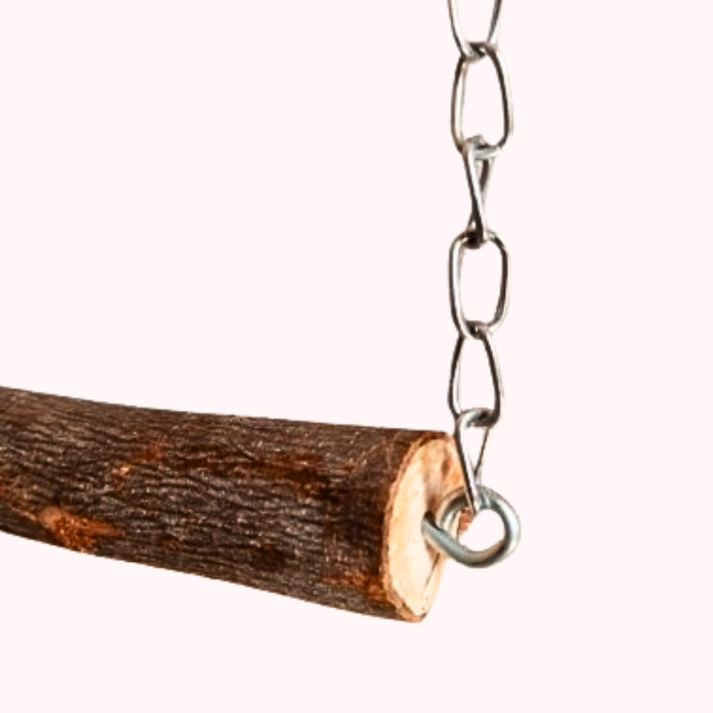 Natural Tree Wooden Swing for African Grey Ringneck Raw Parrots