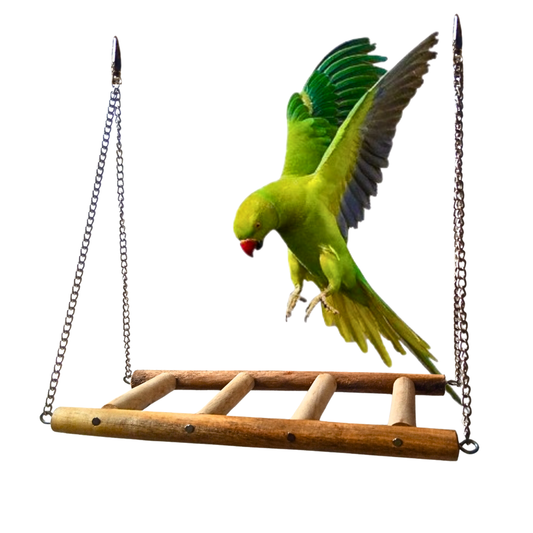 Handmade Wooden Ladder Swing - Durable Bird Toy for Large & Medium Birds
