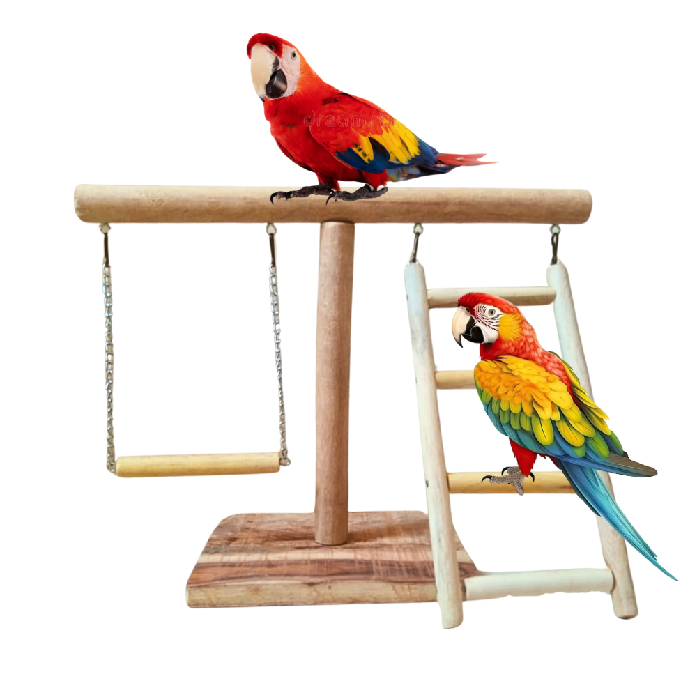 All-in-One Bird Activity Stand Natural Wooden Perch, Swing & Ladder Set