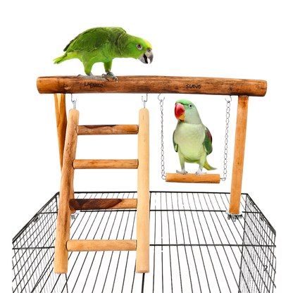 Ultimate PlayDeck 2-in-1 Bird Gym with Ladder & Swing