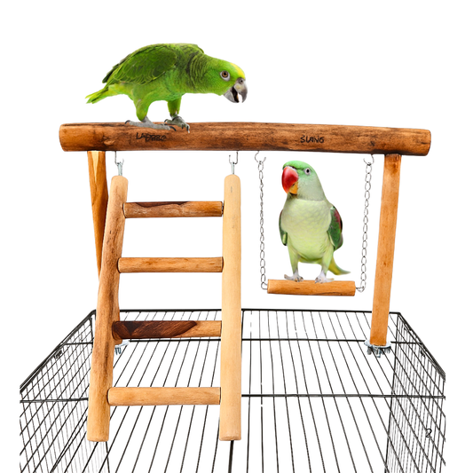 Ultimate PlayDeck 2-in-1 Natural Wood Bird Gym with Ladder & Swing