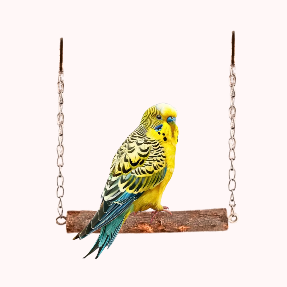 Parrot Swing Toy Accessories for Budgies Lovebird Java Finches