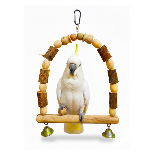 Arch-Shape Natural Tree Wood Hanging Perch for Large Parrots Like Raw African Grey Amazon