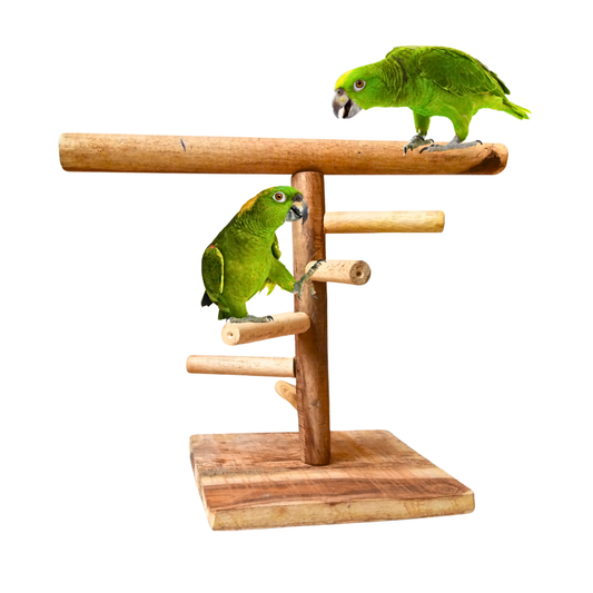 Multi-Level Perch Activity Play Stand for Raw Grey Parrot Amazon
