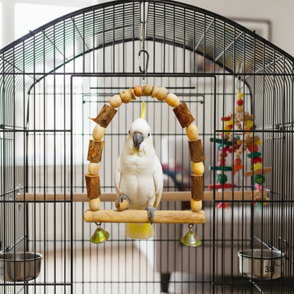 Arch-Shape Natural Tree Wood Hanging Perch for Large Parrots Like Raw African Grey Amazon