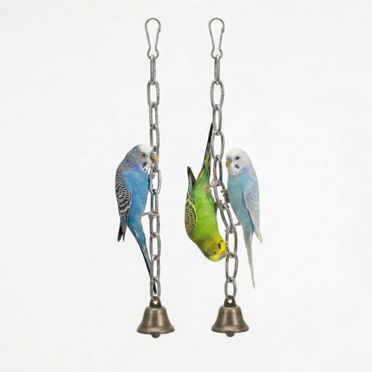 Pack of 2 Interactive Stainless Steel Chain Link Toy for Budgies & Parrots